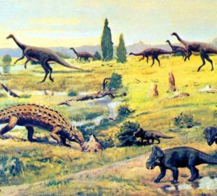 биологи о динозаврах