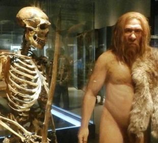 люди и неандертальцы