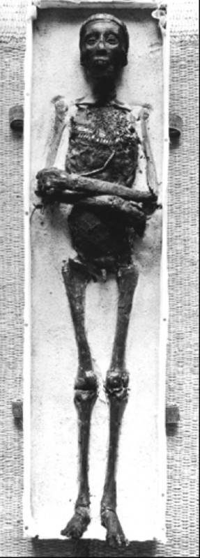 мумия Тутанхамона