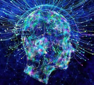 сознание и электромагнитные поля мозга