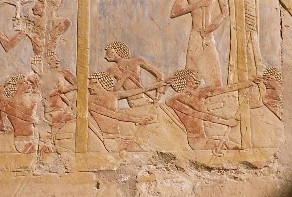 весло в храме фараона Хатшепсут. первооткрыватели Америки