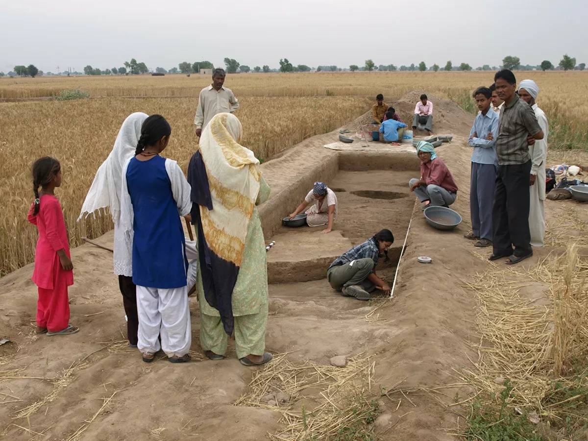 Раскопки в Ракхигархи, найдены следы риса