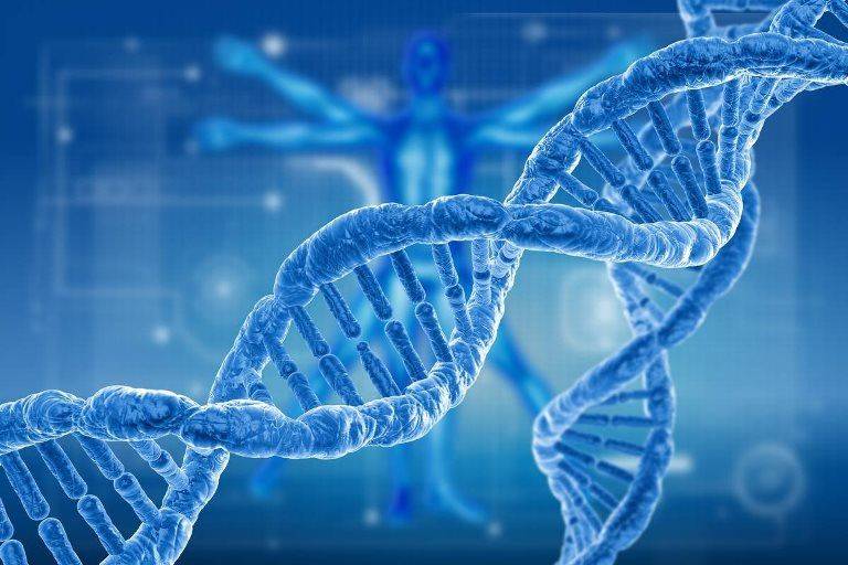 геном человека деградация