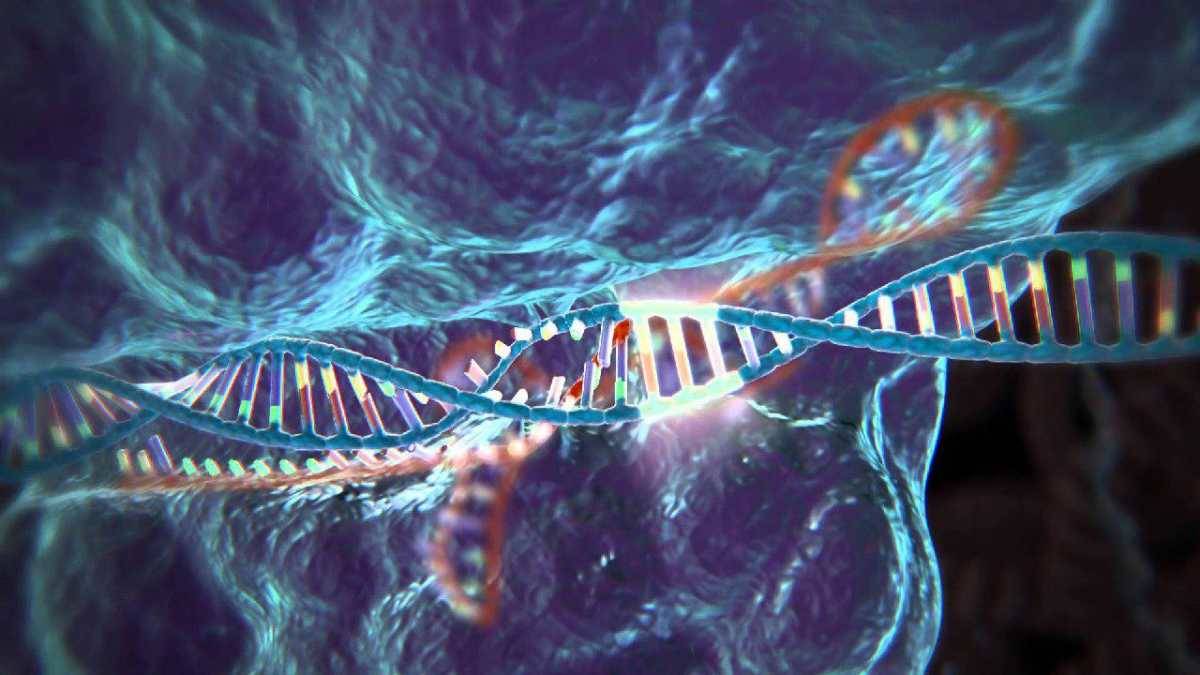  Как исправить человека. CRISPR/Cas9: новейшая система генной модификации