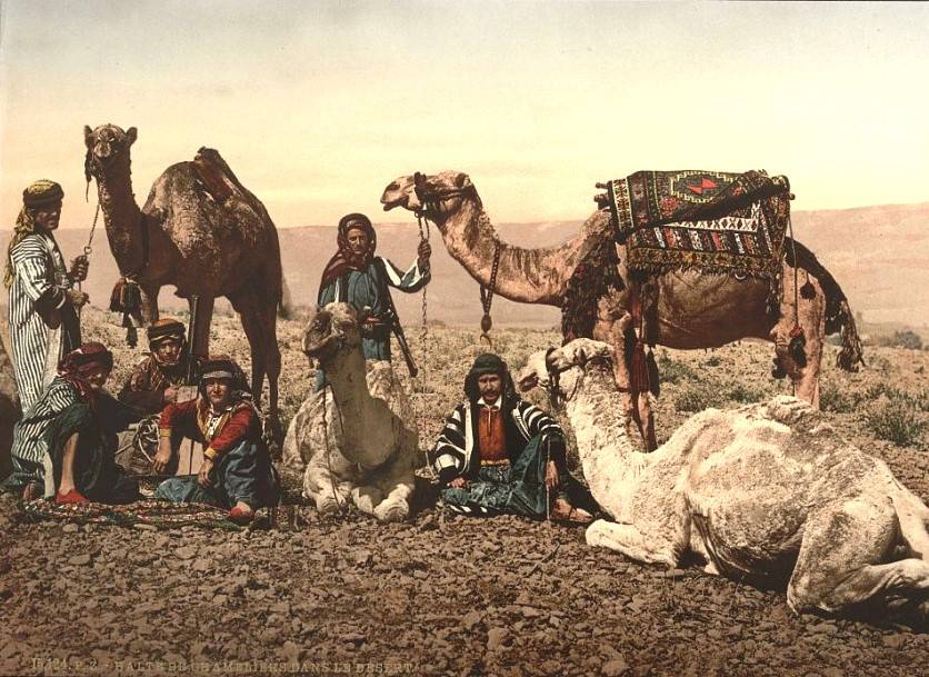 Бедуины происхождение евреев