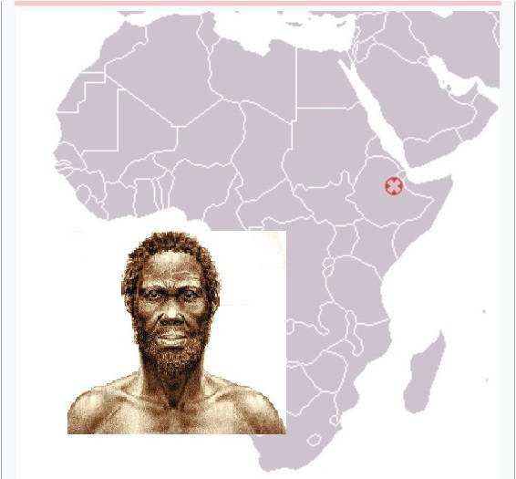 Человек Идалту сапиенс Африки