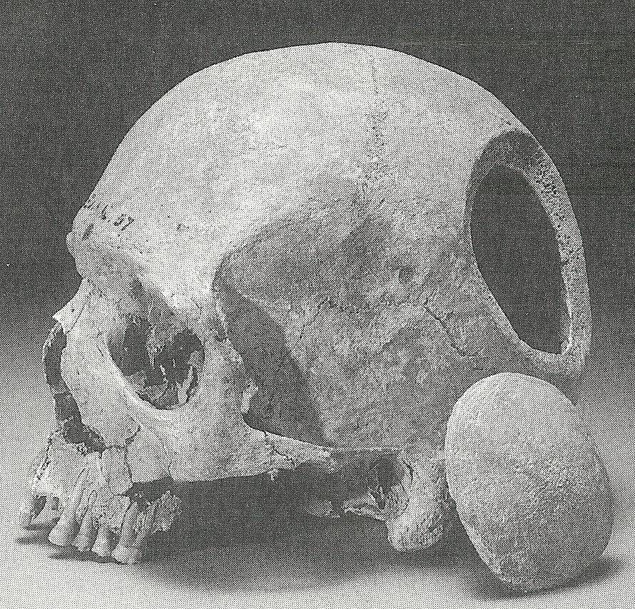 древний череп из Шахри Сухте /www.kavehfarrokh.com/