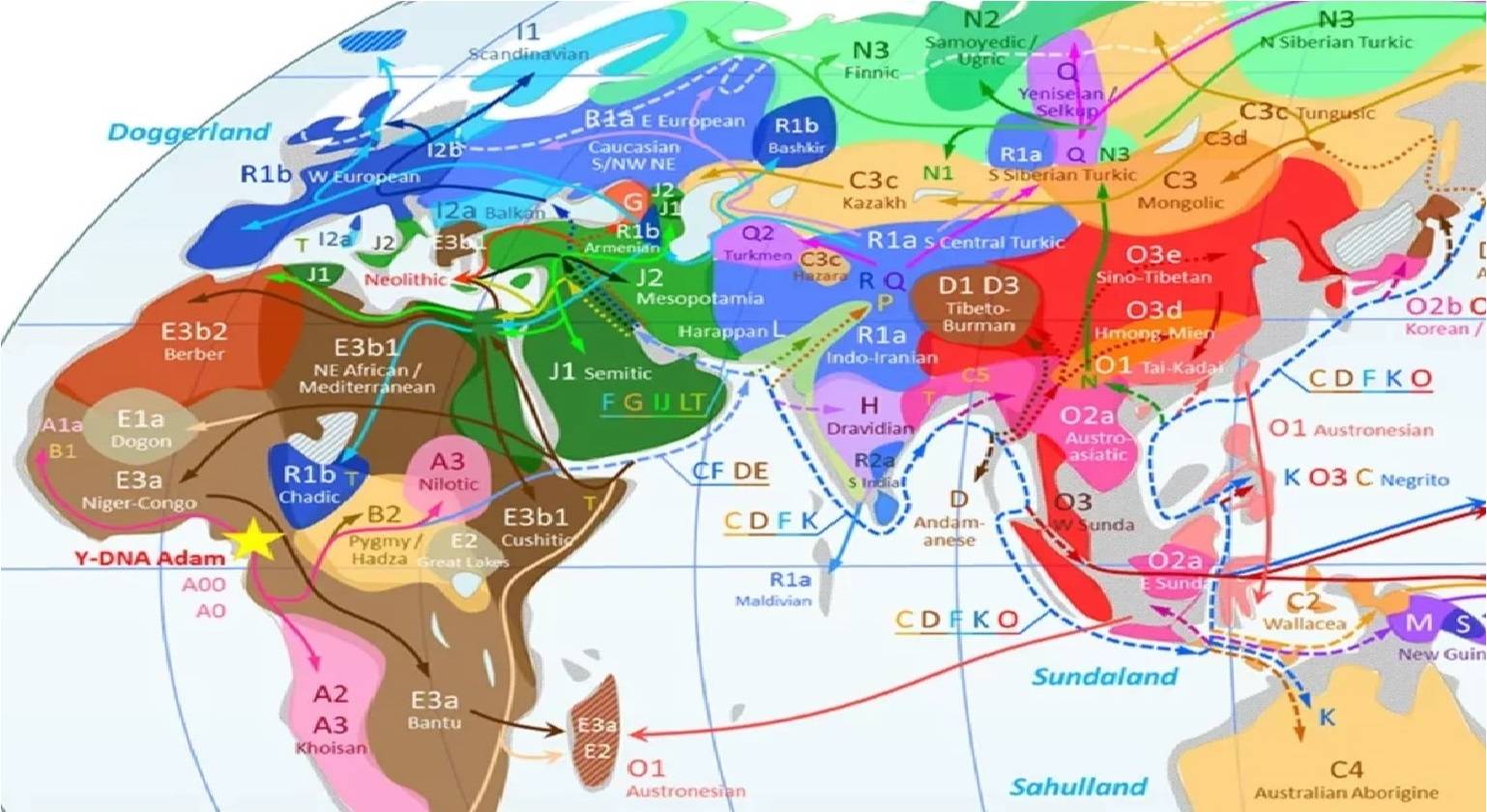 гаплогруппы на карте мира
