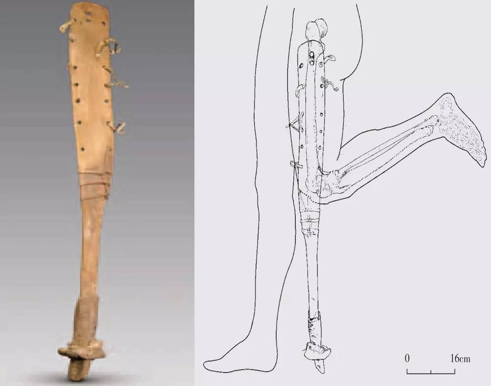 древний протез ноги с лошадиным копытом /www.livescience.com/