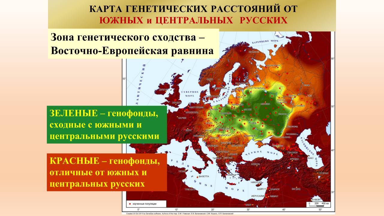 генофонд славян, карта составлена Балановскими /pikabu.ru/