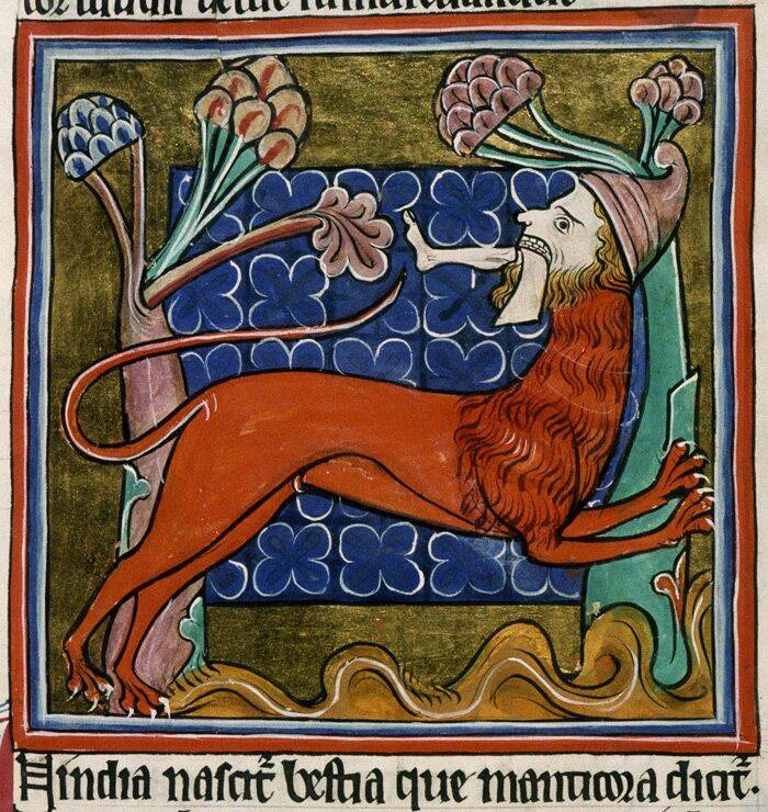 Мантикор изображённый на средневековом бестиарие. 