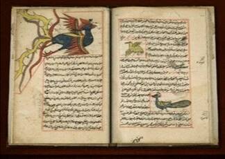 Анка в книге Закарии аль-Казвини (1537). феникс