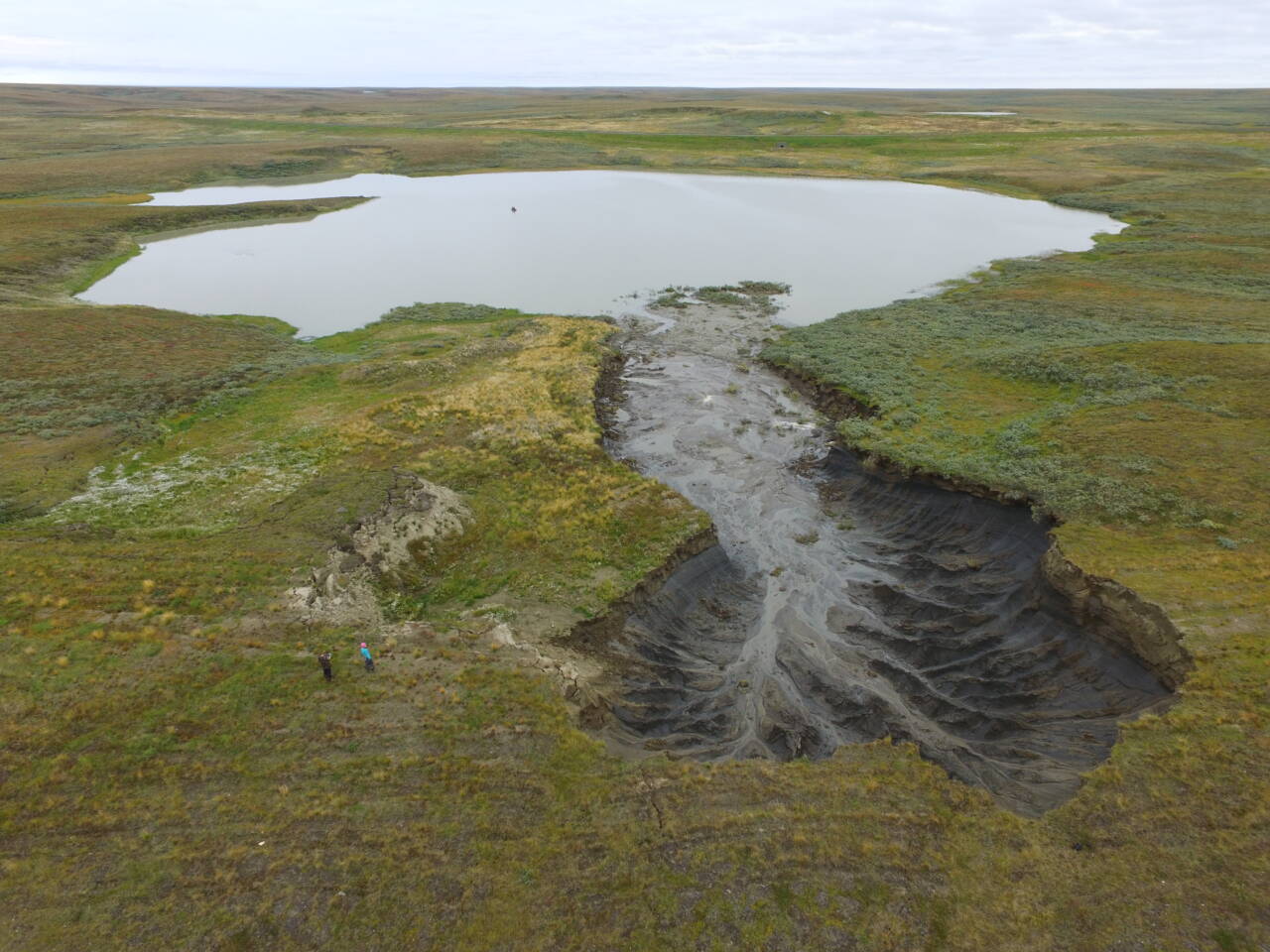 Сибирские болота – главный движитель потепления?