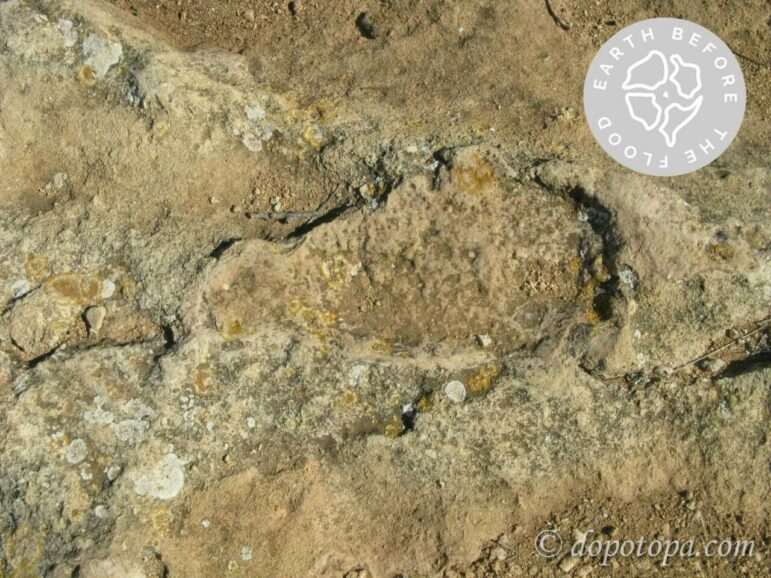 Отпечатки обуви в позднеплиоцен?-раннеплейстоценовых калькаренитах восточной части острова Фавиньяна.