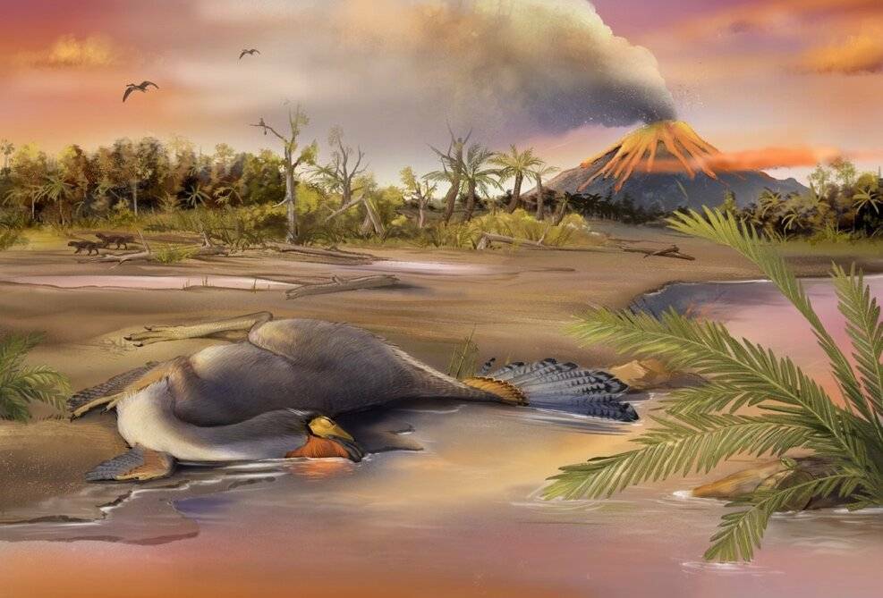 Палеонтологи выделили хорошо сохранившиеся клетки динозавра