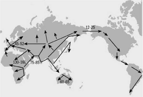 карта миграций по археологическим данным