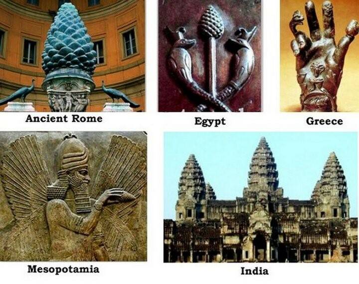 символ шишки в разных культурах