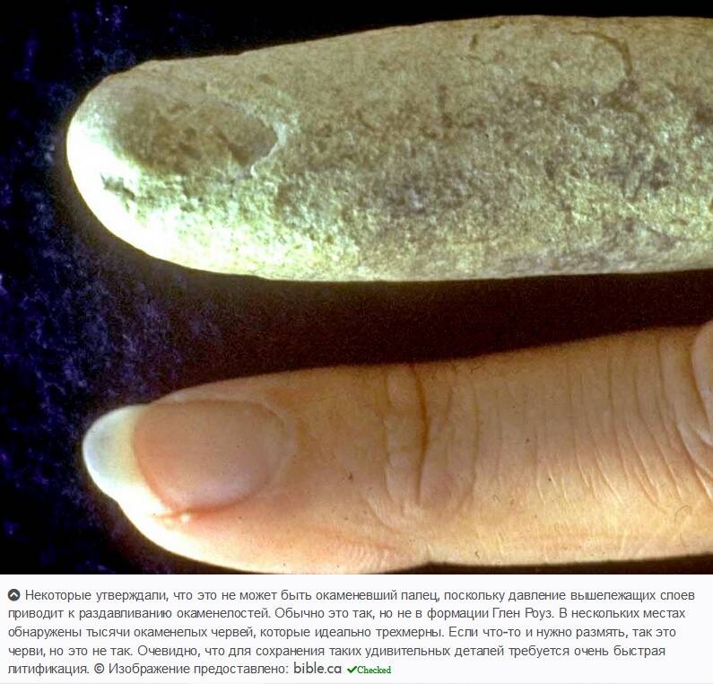 древний артефакт человеческий палец