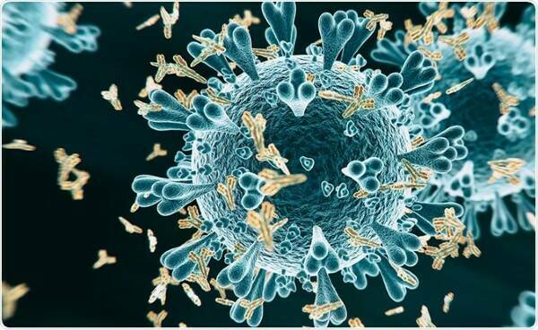 Ученые назвали сроки повторного заражения коронавирусами для уже переболевших