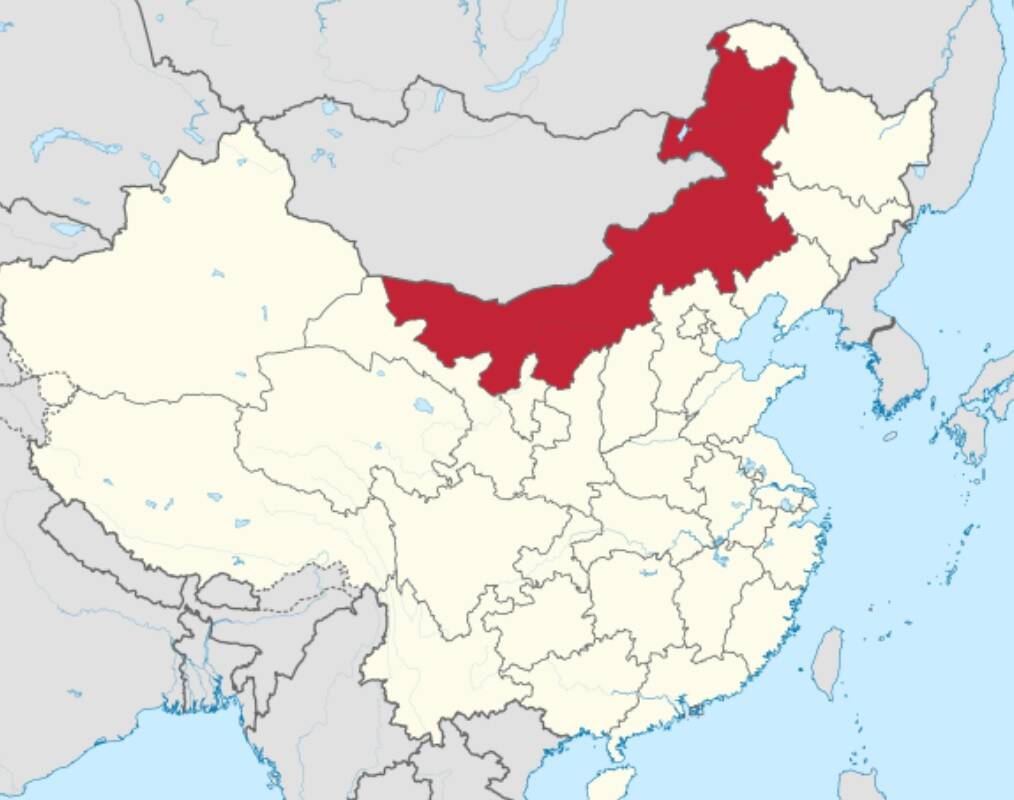 глобализаторы Монголия