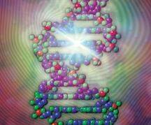 двойственная природа ДНК