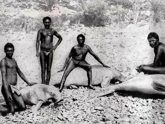 Австралийские аборигены с добычей 