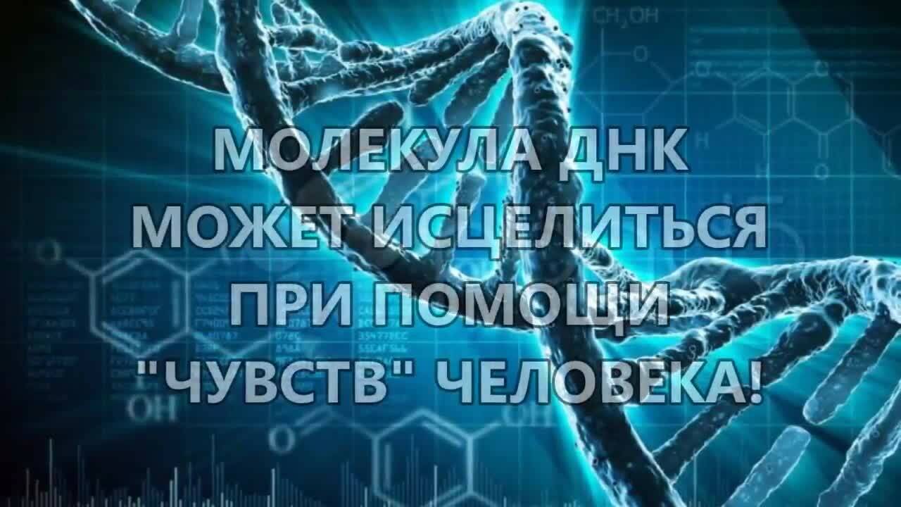 ДНК и волновая генетика