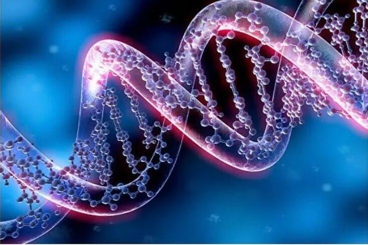 ДНК и волновая генетика Гаряева