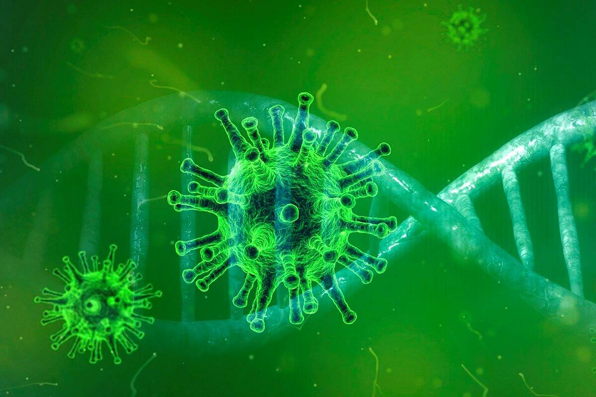 ДНК волновая генетика и вирусы