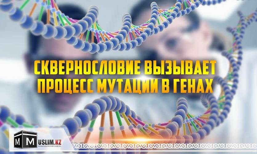 ДНК волновая генетика и сквернословие