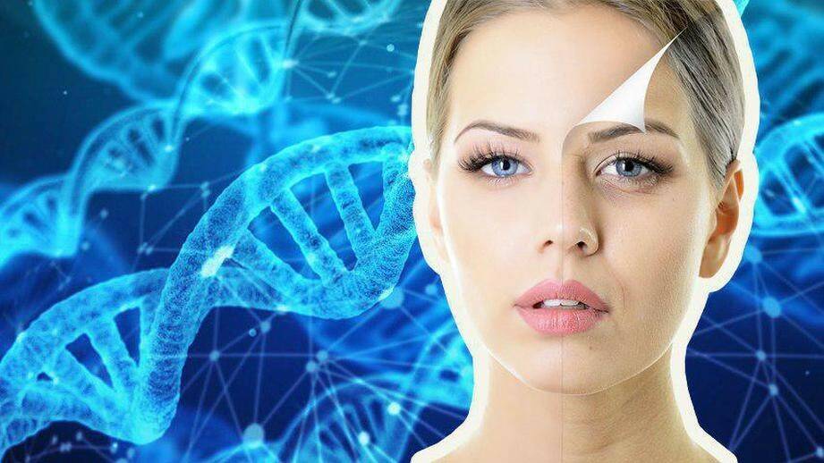 волновая генетика и технологии омоложения ДНК