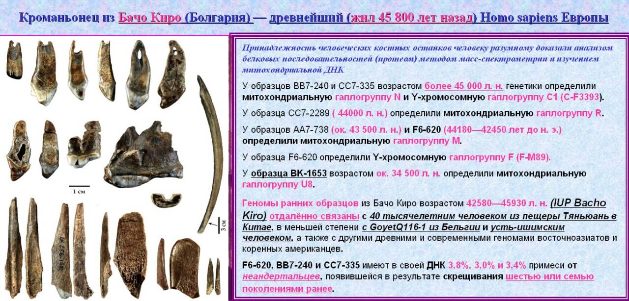 ДНК: Кроманьонец из Бачо Киро (Болгария) — древнейший (жил 45 800 лет назад) Homo sapiens Европы