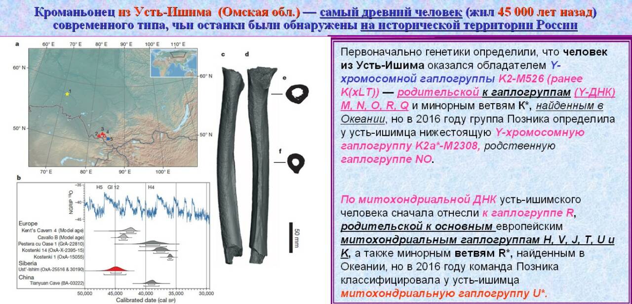 ДНК: Кроманьонец из Усть-Ишима (Омская обл.) — самый древний человек (жил 45 000 лет назад) современного типа, чьи останки были обнаружены на исторической территории России
