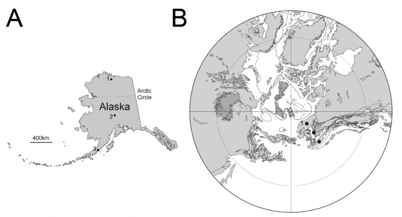 На распространение растительноядных динозавров на Аляске осадки повлияли сильнее температуры