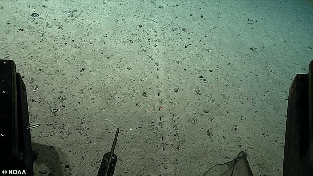 Ученые нашли рукотворные углубления на дне Атлантического океана
