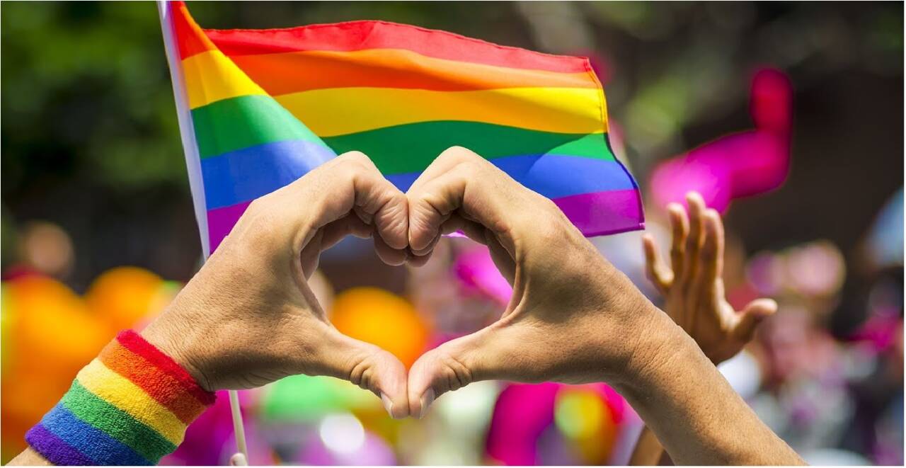 ЛГБТ гомо-сообщество