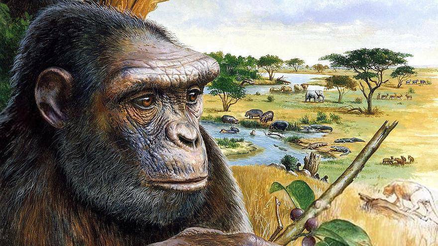 Предки людей встали на ноги уже семь миллионов лет назад. Стоило ли оно того?