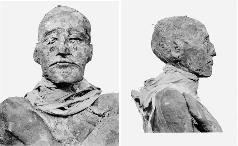 Мумия Рамсеса III. Рамсес III скончался на 32 году своего правления (3 месяц шему, 15 день) в Фивах. Источник: https://ru.wikipedia.org/wiki/Рамсес_III 
