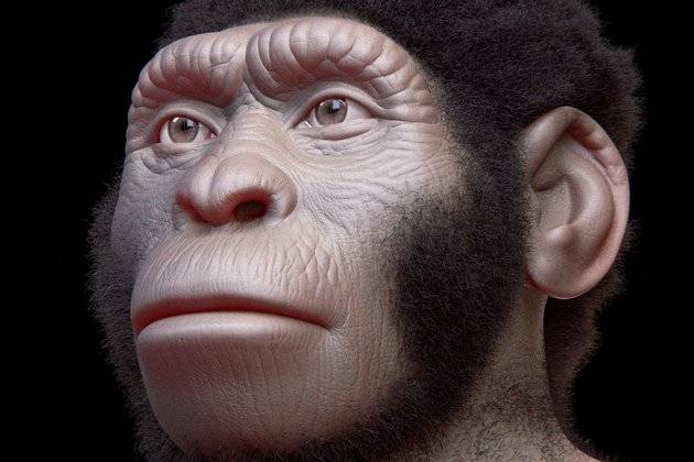 Homo naledi