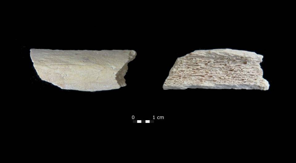 неандертальцев