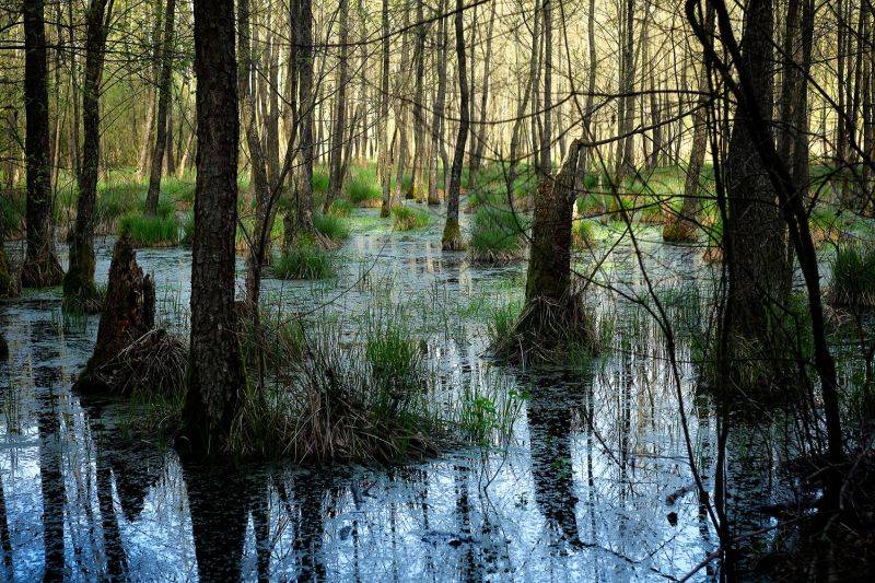 климатического