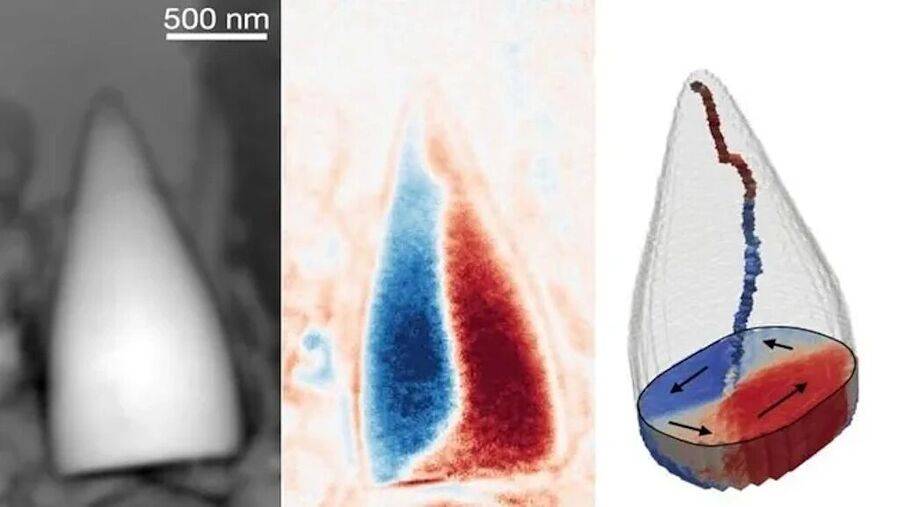 окаменелости