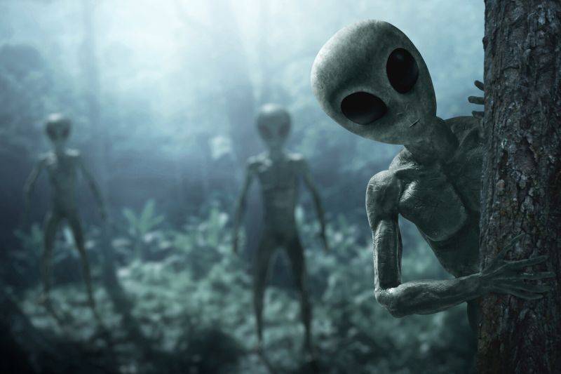 человечество